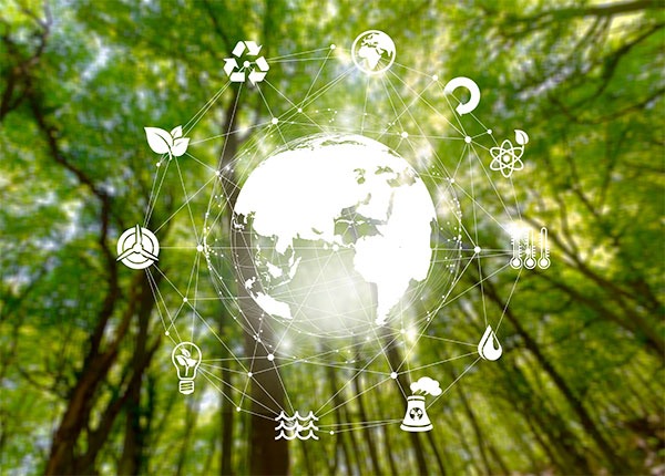 Fotografía de un bosque con árboles y superpuesta un icono grande de la bola del mundo con iconos alrededor con símbolos de sostenibilidad
