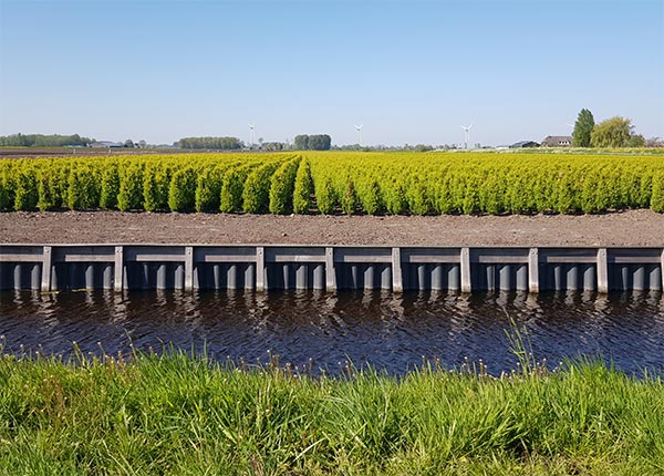 Fotografía de un canal con agua en unos cultivos